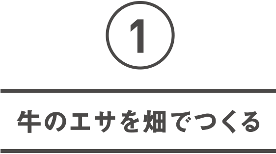 牛のエサを畑でつくる