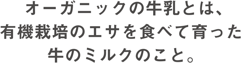 オーガニックの牛乳とは、有機栽培のエサを食べて育った牛のミルクのこと。